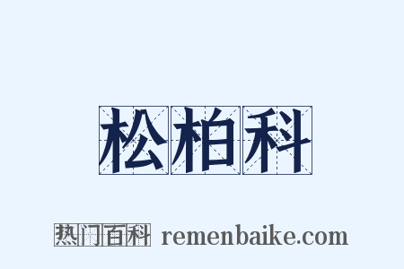 松柏科是什么意思的图片